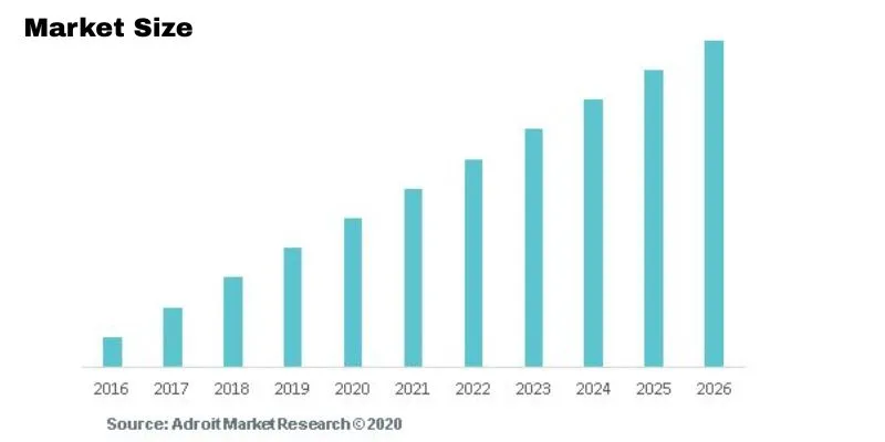cdss market size