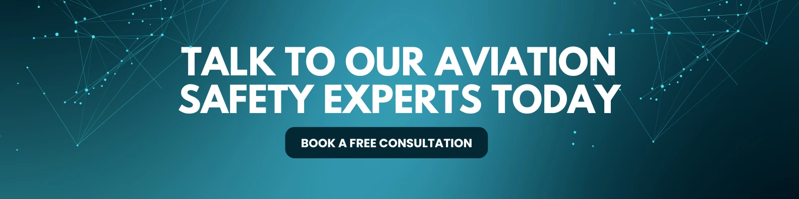 Aviation consultants reviewing flight safety data